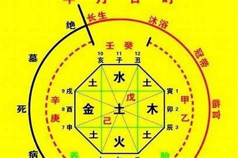 喜火木運忌水金運|八字喜火是什么意思